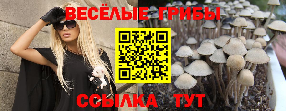 Узловая  Псилоцибиновые грибы мухоморы  Псилоцибиновые грибы ЛСД  Вход с VPN 
